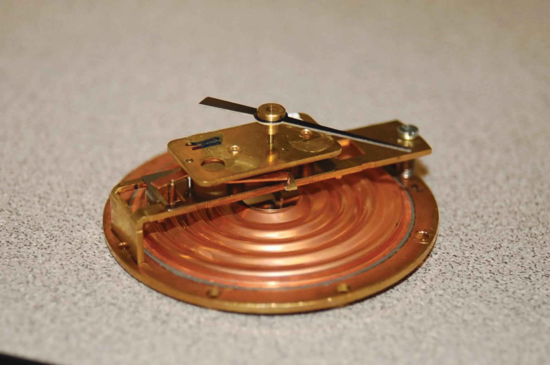 diaphragm